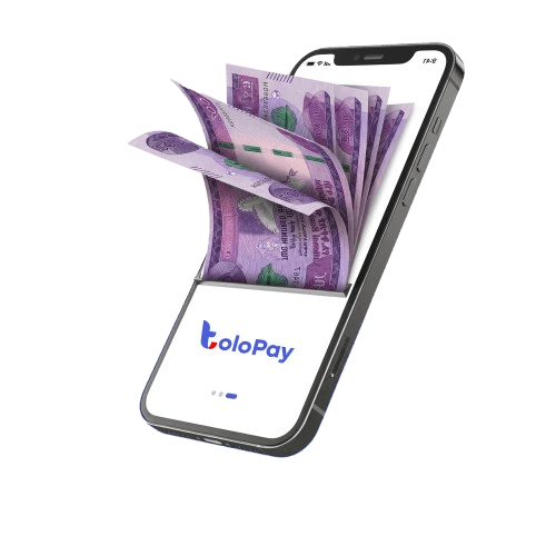 ToloPay Company Overview